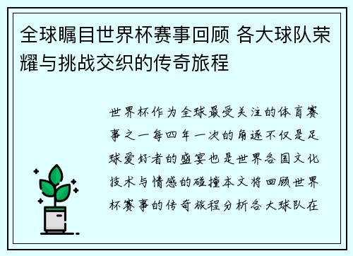 全球瞩目世界杯赛事回顾 各大球队荣耀与挑战交织的传奇旅程